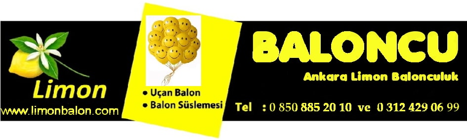 Ankara entepe parti malzemesi sipari satn al
