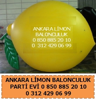 Ankara entepe sat sepeti balon evi